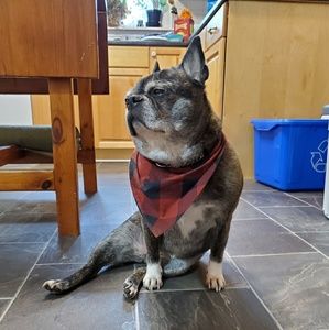 Meet your Posher, Lacey